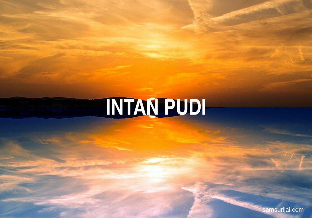 Arti Intan Pudi