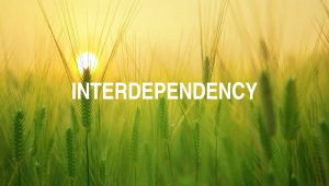 Arti Interdependency