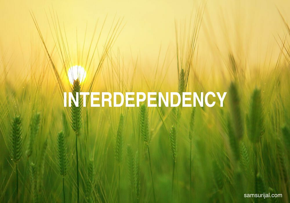 Arti Interdependency
