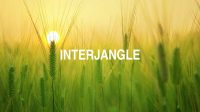 Interjangle