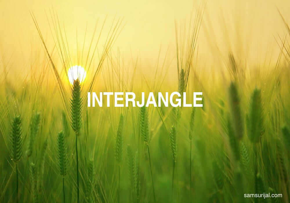 Arti Interjangle