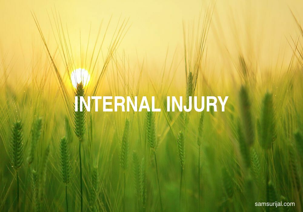 Arti Internal Injury