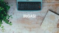 Irigasi