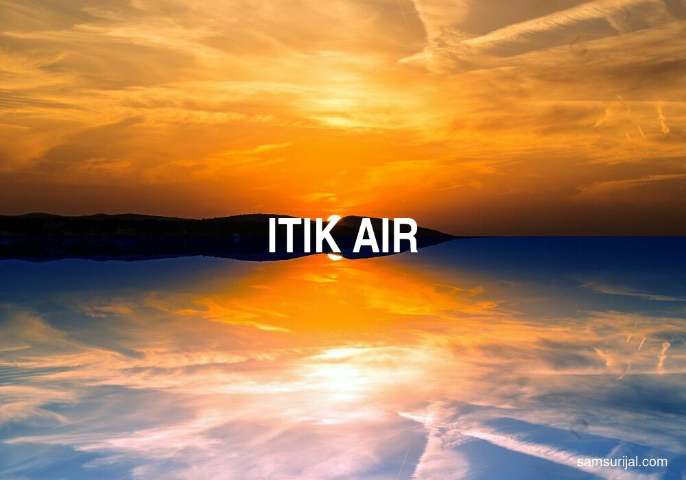 Arti Itik Air