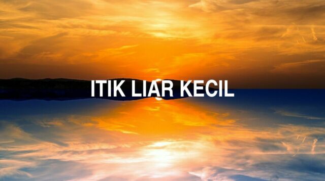 Arti Itik Liar Kecil