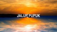 Jalur Pupuk