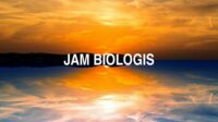 Jam Biologis