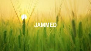 Arti Jammed