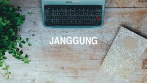 Arti Janggung