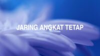 Jaring Angkat Tetap