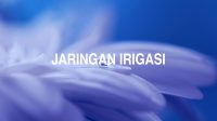 Jaringan Irigasi