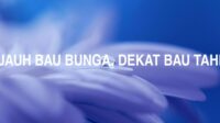 Jauh Bau Bunga, Dekat Bau Tahi