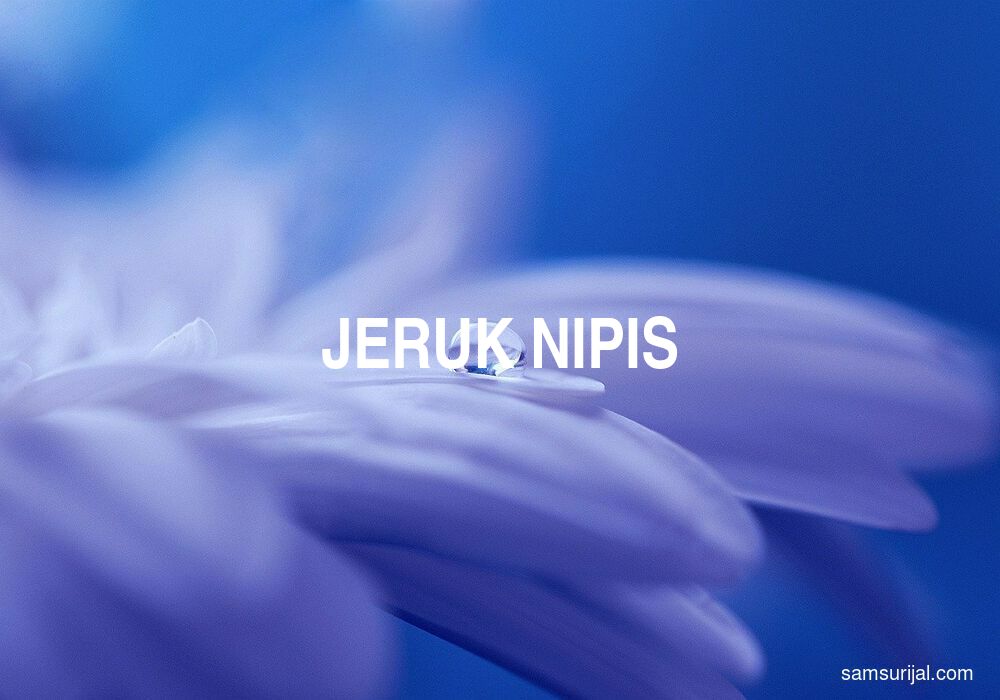 Arti Jeruk Nipis