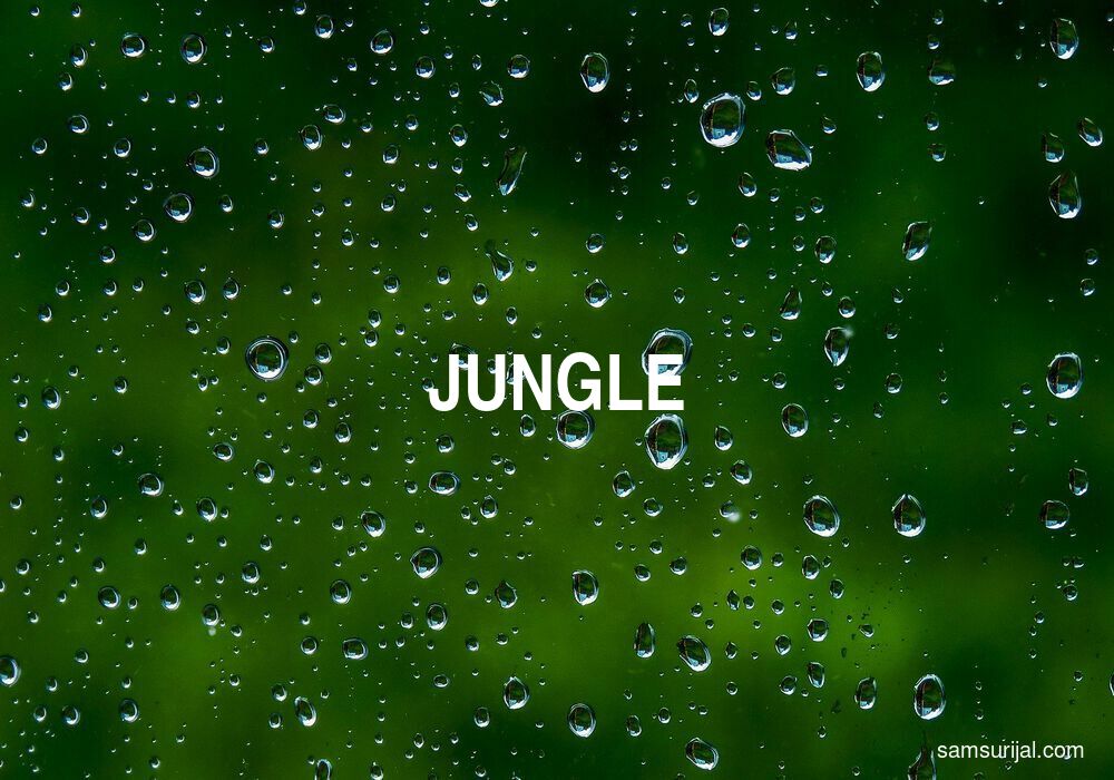 Arti Jungle