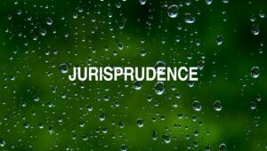 Arti Jurisprudence
