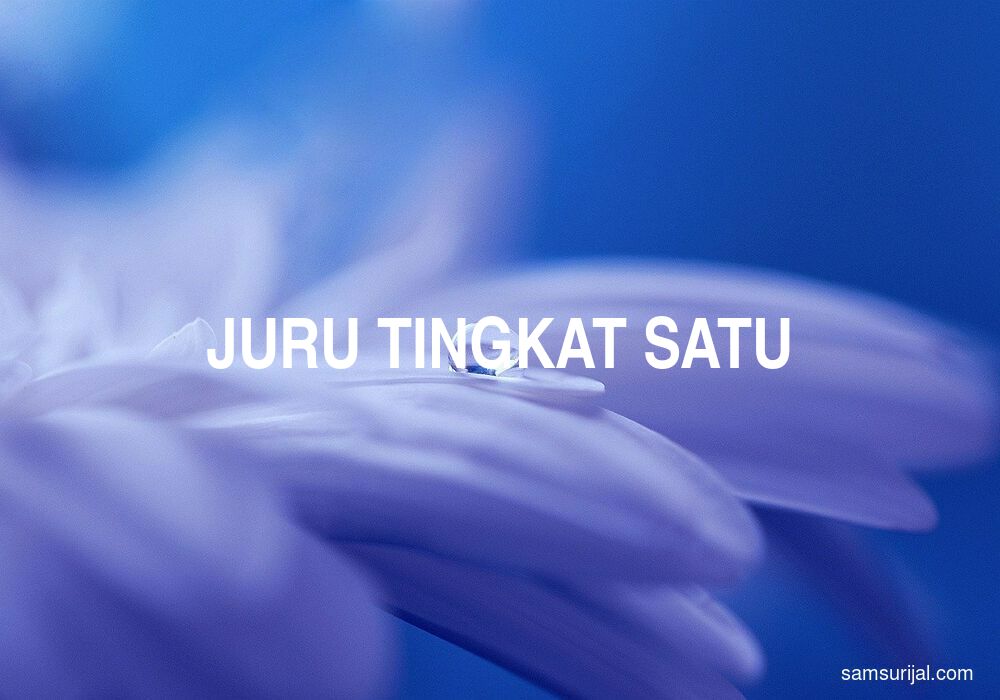 Arti Juru Tingkat Satu