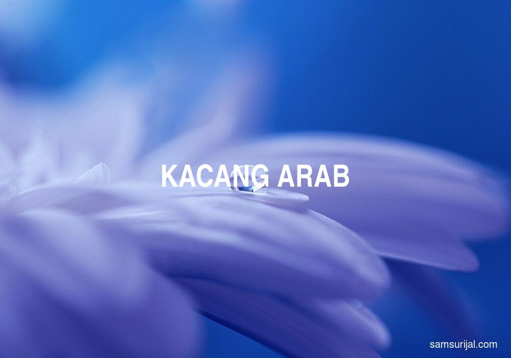 Arti Kacang Arab