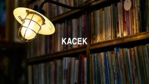 Arti Kacek
