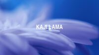 Kaji Lama