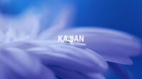 Kajian