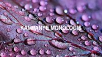 Kampanye Monologis