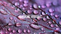 Kamus Visual