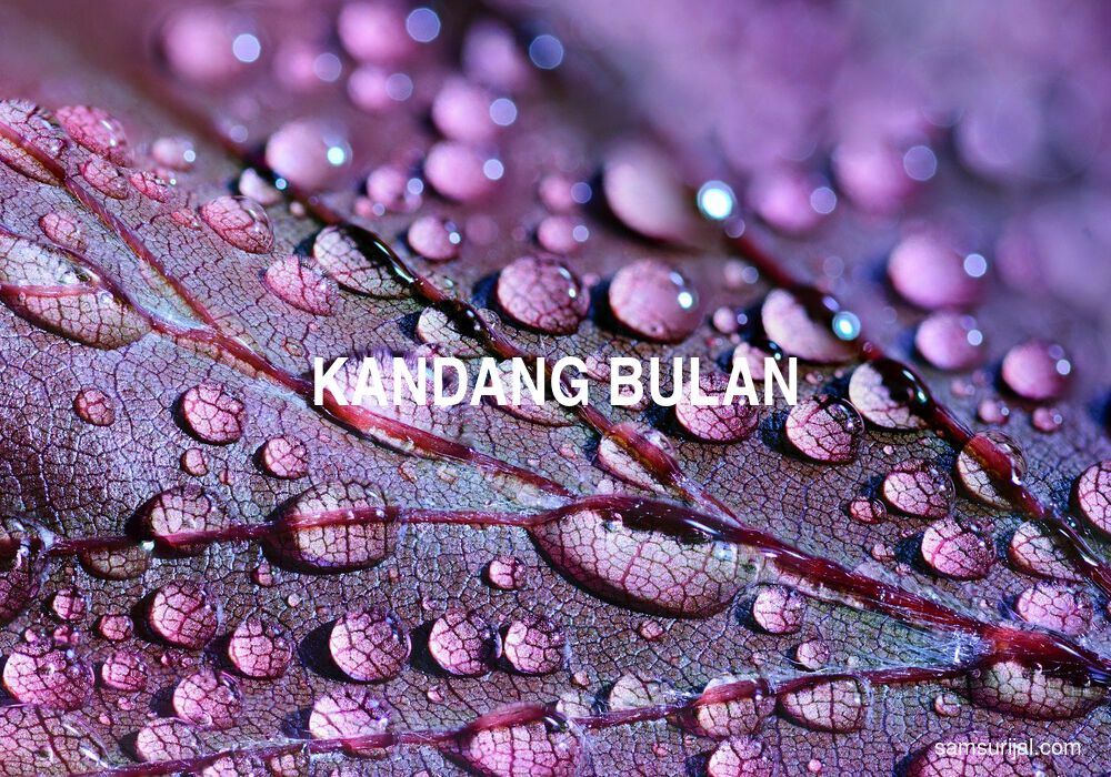 Arti Kandang Bulan