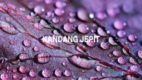 Kandang Jepit