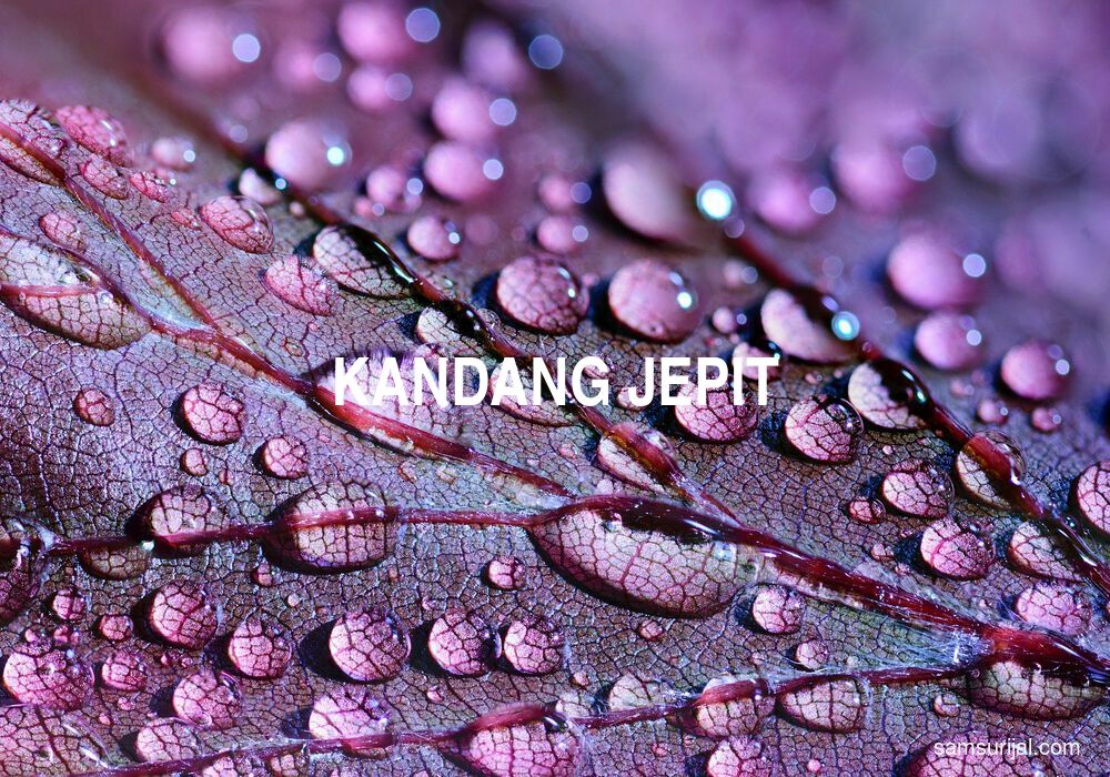 Arti Kandang Jepit