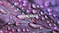 Kandaran