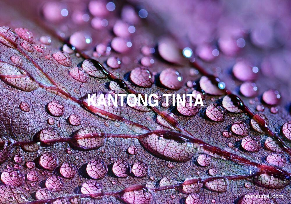 Arti Kantong Tinta