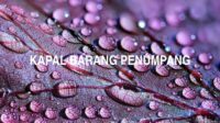 Kapal Barang Penumpang