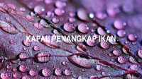 Kapal Penangkap Ikan