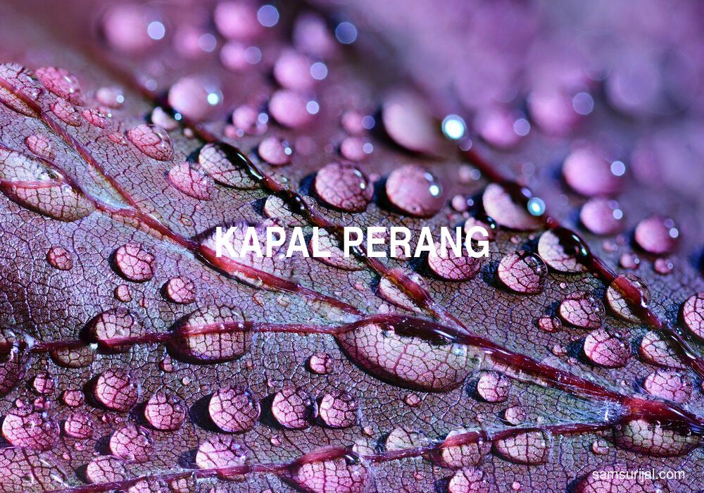 Arti Kapal Perang