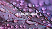 Karam Di Darat