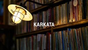 Arti Karkata