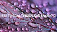 Kasihkan anak tangan-Tangankan, kasihkan bini tinggal-Tinggalkan sayang di anak dibenci, sayang di negeri ditinggalkan