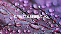 Kata Tak Berpucuk