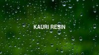 Kauri Resin