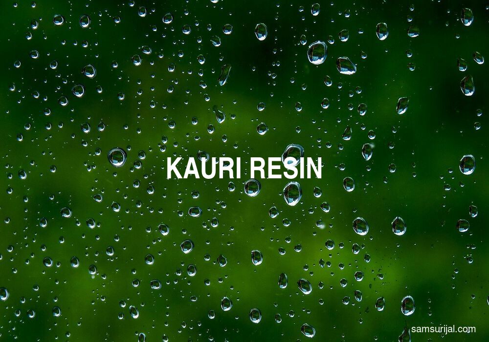 Arti Kauri Resin