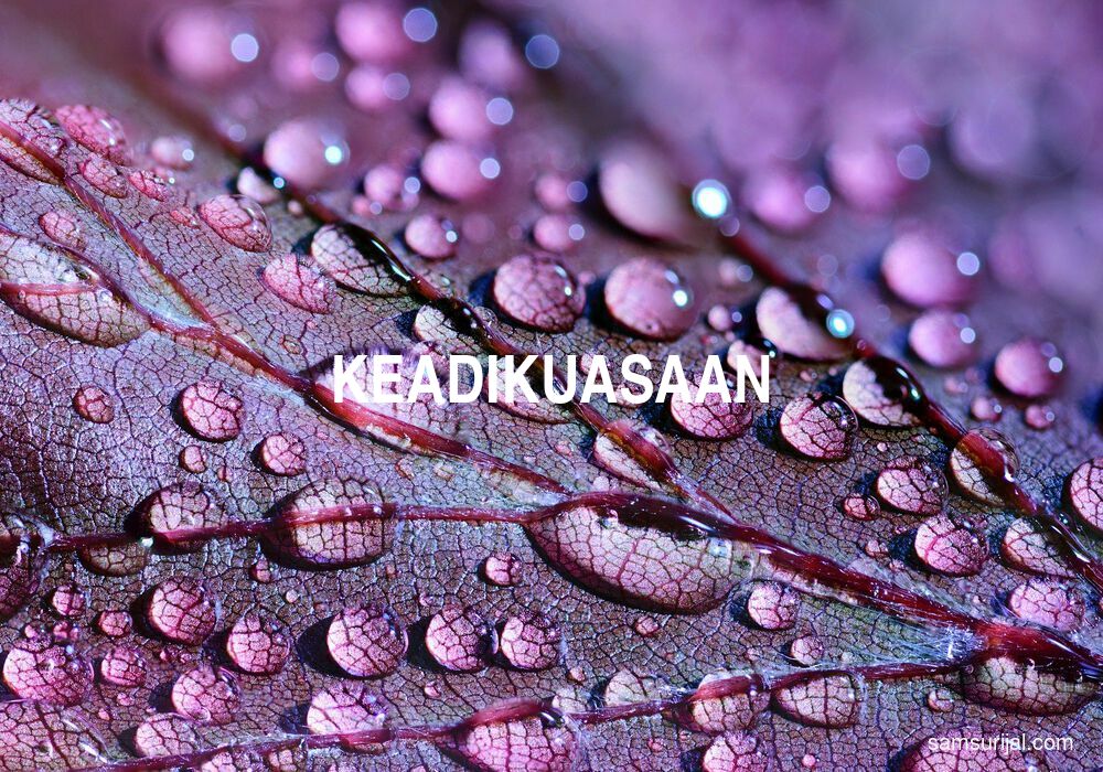 Arti Keadikuasaan