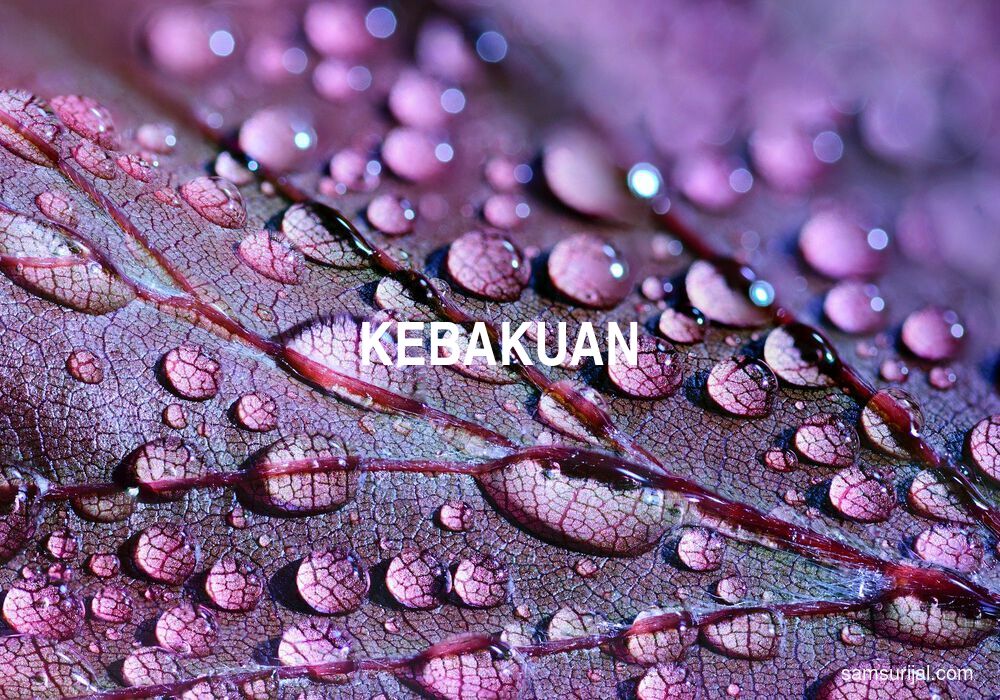 Arti Kebakuan