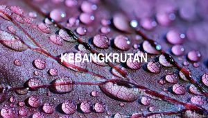 Arti Kebangkrutan