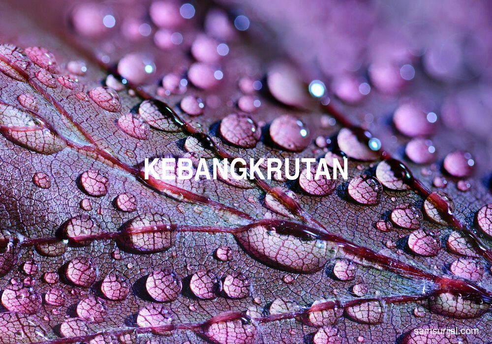 Arti Kebangkrutan
