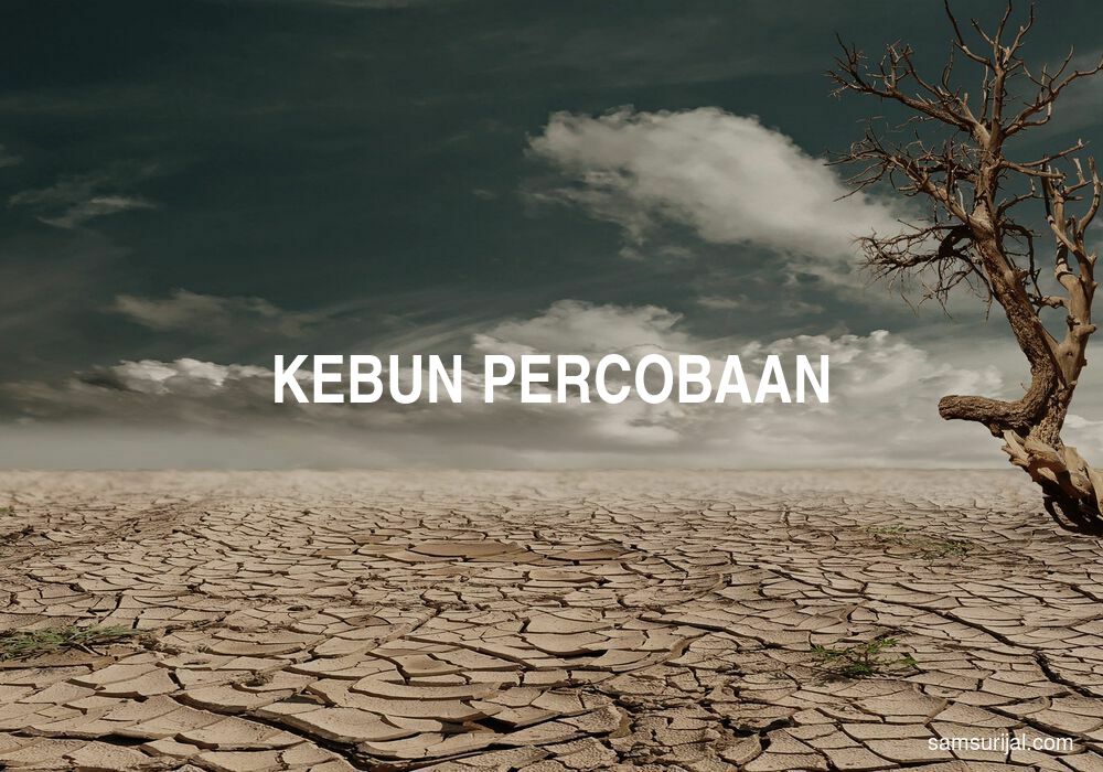 Arti Kebun Percobaan