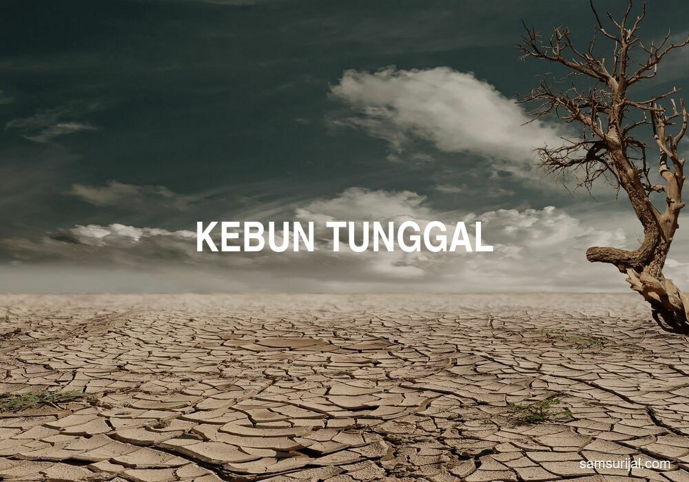 Arti Kebun Tunggal