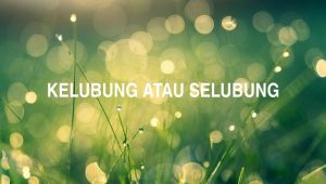 Kelubung atau Selubung