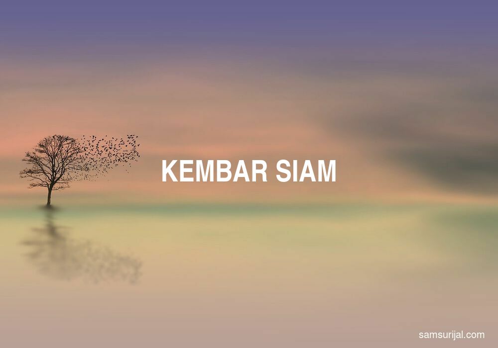 Arti Kembar Siam