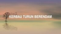 Kerbau Turun Berendam