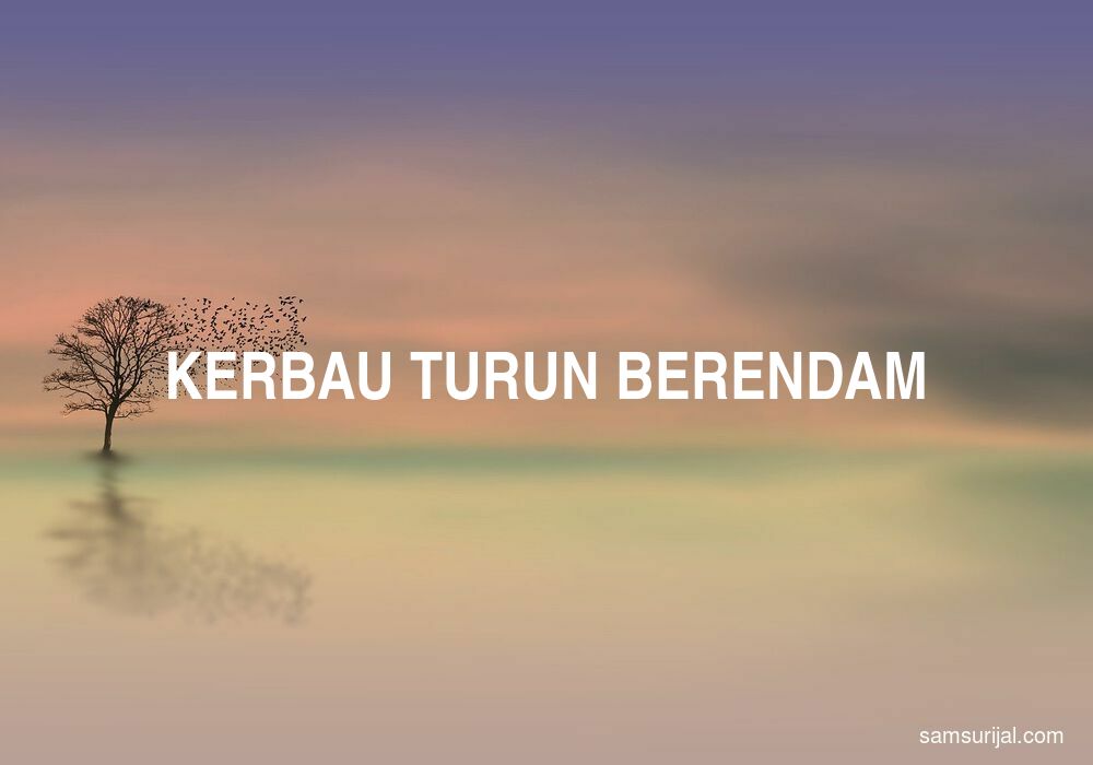 Arti Kerbau Turun Berendam